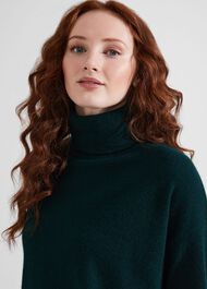 Delora Cashmere Roll Neck Jumper, Hawthorn Green, hi-res