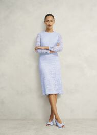 Petite Ottilie Lace Sequin Dress, Pale Blue, hi-res