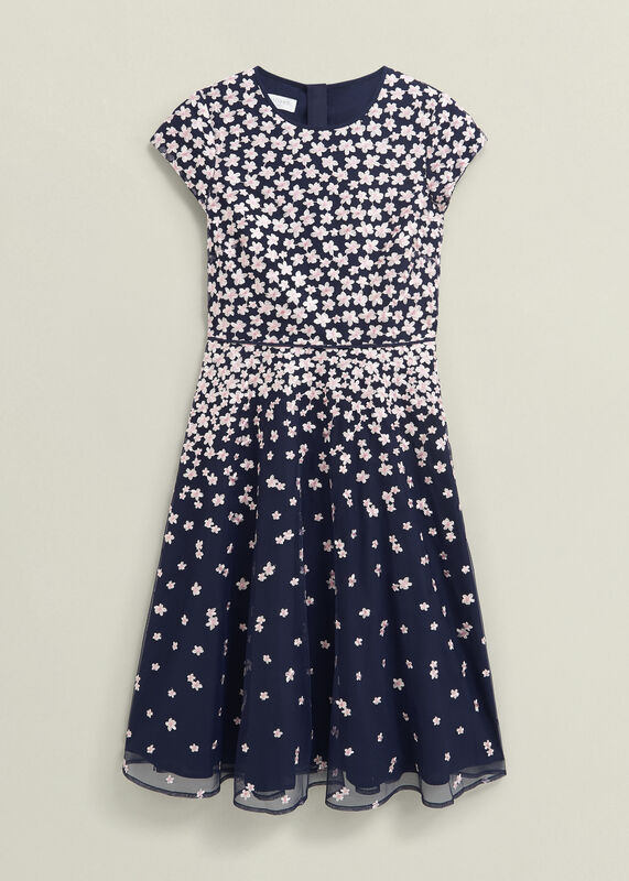 Petite Betty Embroidered Dress