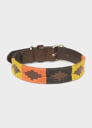 Leather Dog Collar, Multi, hi-res