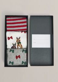 Festive Dog Sock Set, Red Multi, hi-res