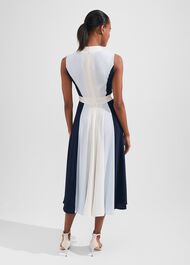 Jilly Fit And Flare Dress, Navy Blue Ivory, hi-res