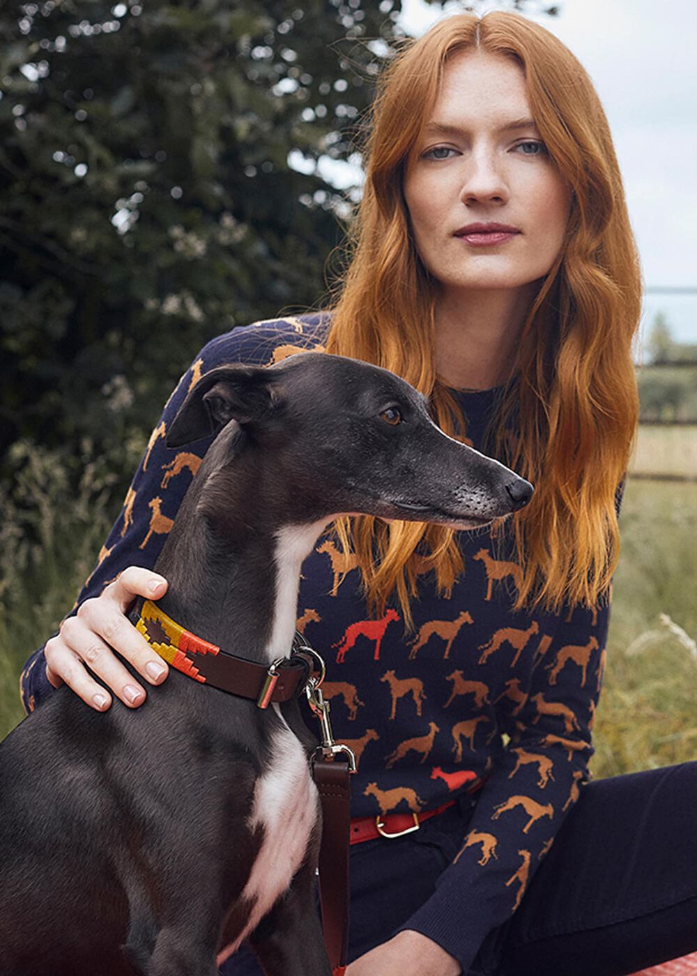 Leather Dog Collar, Multi, hi-res