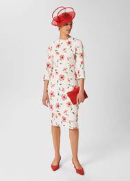 Aleena Floral Shift Dress, Cream Red Multi, hi-res