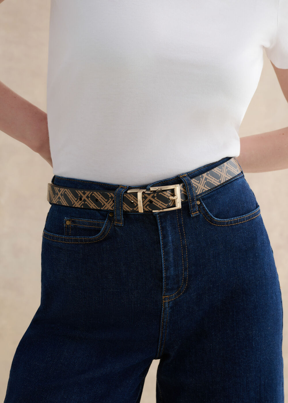 Pauline Leather Reversible Belt, Black Camel, hi-res