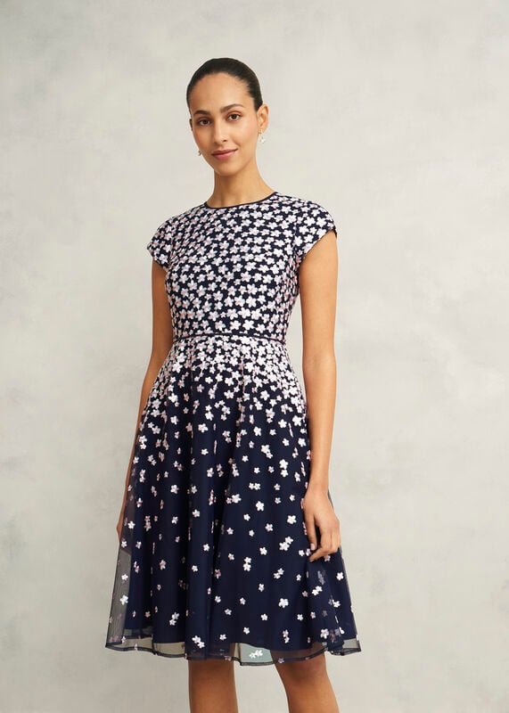 Betty Embroidered Dress 