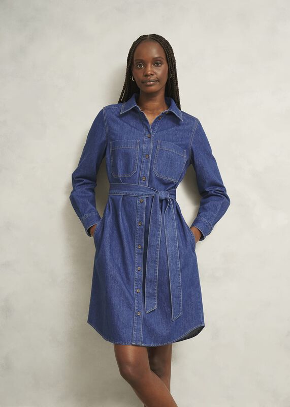 Francesca Denim Dress