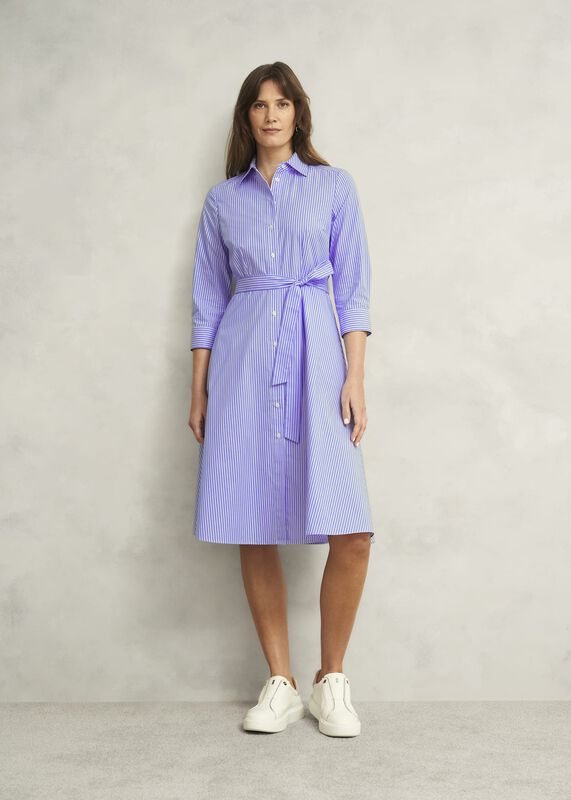 Petite Harlow Cotton Dress
