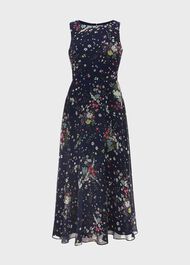 Petite Carly Floral Fit And Flare Dress, Navy Multi, hi-res