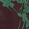 Brown Green