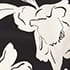 Cream Black