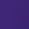 Jewel Purple