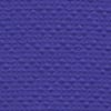 Allium Blue