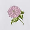 White Pink