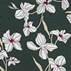 Green Ivory