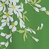 Green Ivory