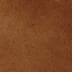 Vicuna