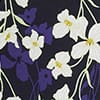 Navy Ivory