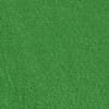 Cilantro Green