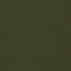 Dark Fern Green