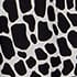 Black Ivory
