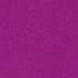 Magenta Purple