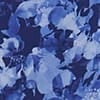 Blue Multi
