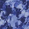 Blue Multi