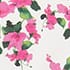 Ivory Fuchsia
