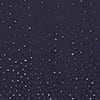Midnight Navy