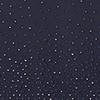 Midnight Navy