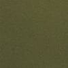 Kelp Green