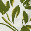 Ivory Green