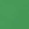 Cilantro Green