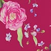 Pink Multi