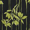 Navy Green