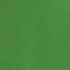 Lush Green