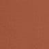 Vicuna
